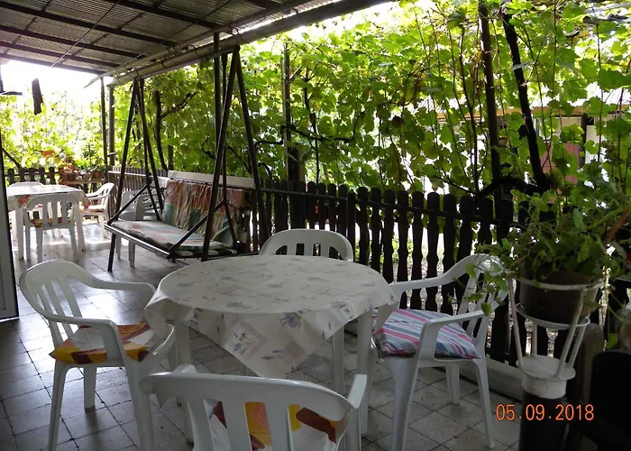 In - Balaton 18183 *